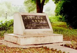 qy球友会在线登入- 这也行？风云突变里昂清晨调整名单尼斯再遭质疑备战全明星赛，塔图姆在德国队比赛中关键助攻